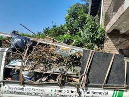 Best Moving and Downsizing Cleanouts  in Hanahan, SC